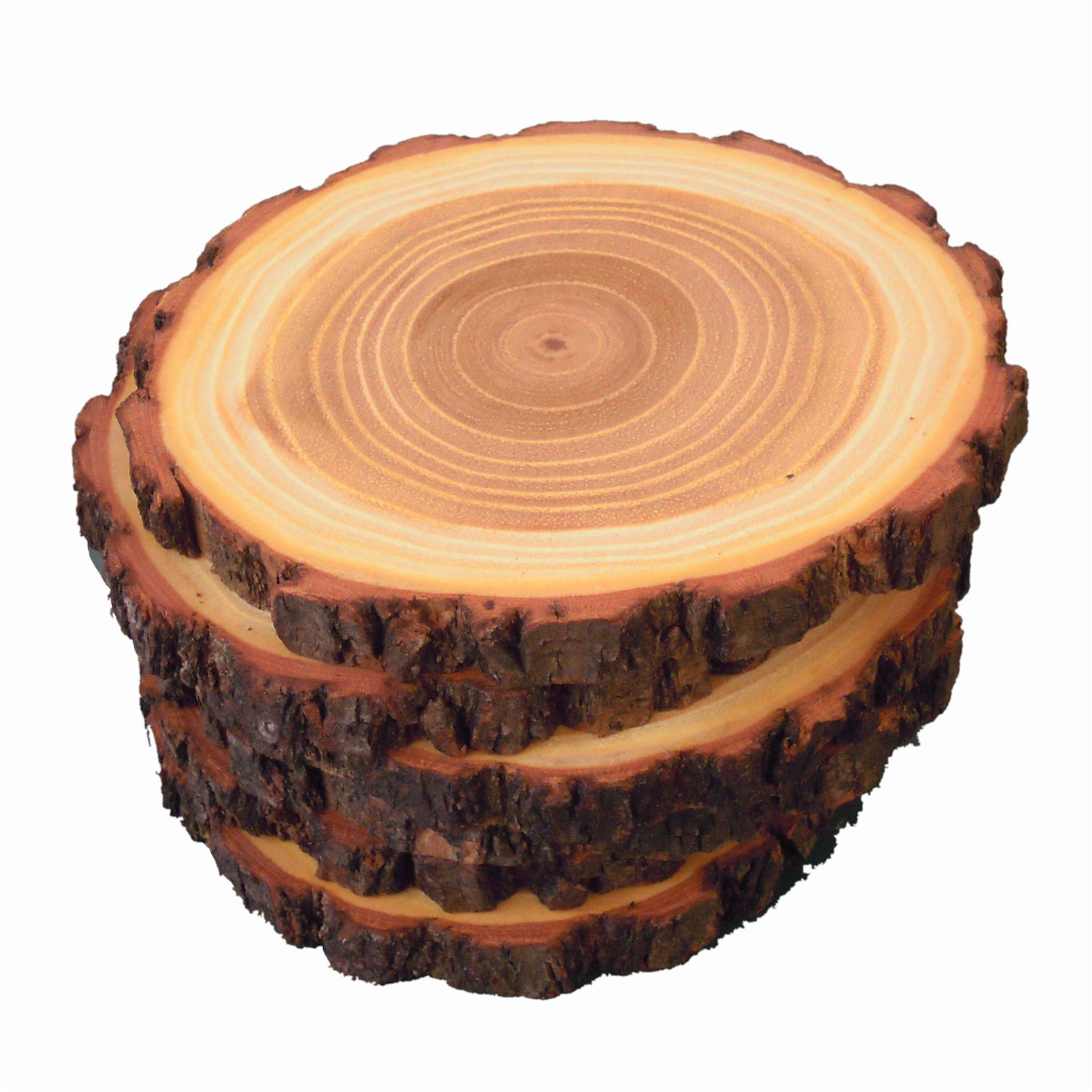 Round coasters made of acacia wood with bark